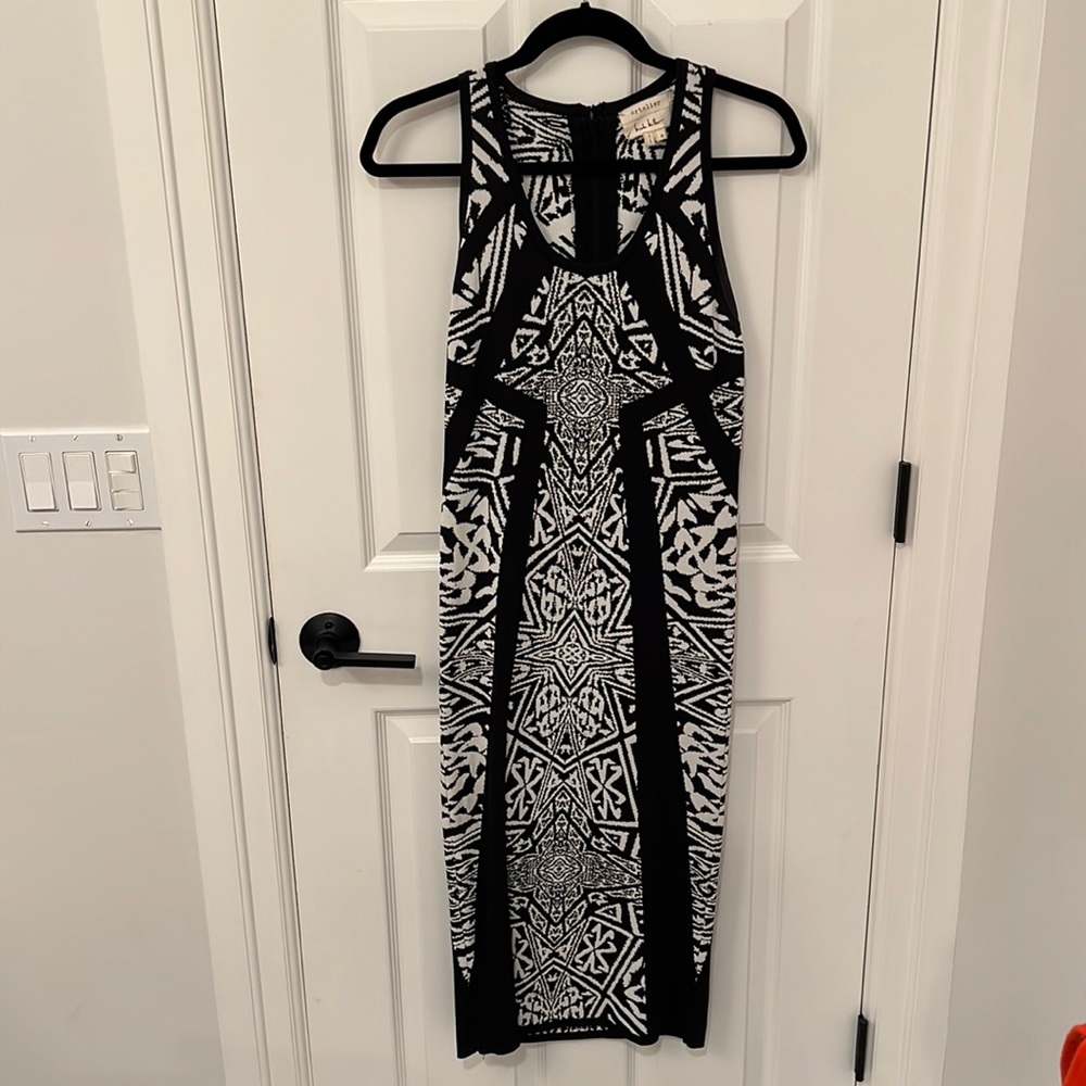 Artelier Nicole Miller dress